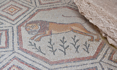 Ancient Roman Mosaics
