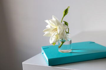 a white rose is on a blue notepad on a white table. Place for text. Ready layout.