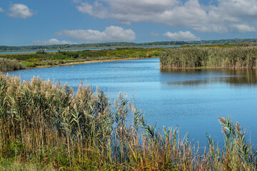 the noth pool located in parker river wild life refuge