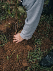 gardener planting plants on her farm