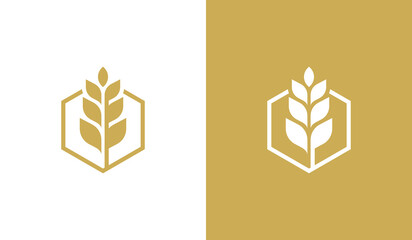 Hexagon Wheat Logo Concept symbol sign icon Element Design. Agriculture, Bakery, Grain Logotype. Vector illustration template