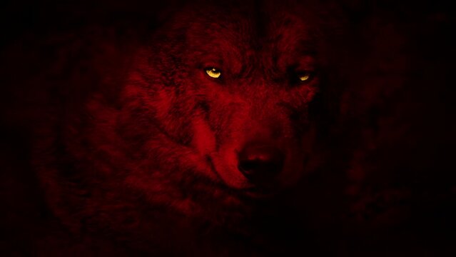 Wolf Growls With Glowing Eyes Red Abstract
