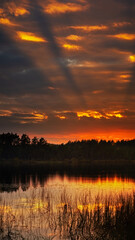 evening sunset landscape. wide rays of the setting sun due to the coniferous forest in a dramatic sky with a red glow over the forest lake