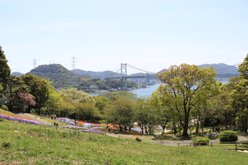 火の山公園、トルコチューリップ園、山口県下関市