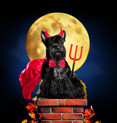 Dog in devil halloween costume sitting on chimney in front of big moon