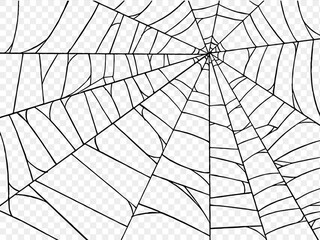 Halloween party background with spiderwebs isolated png or transparent texture,blank space for text,element template for poster,brochures, online advertising,vector illustration