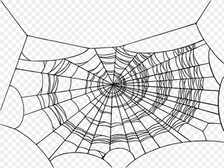 Halloween party background with spiderwebs isolated png or transparent texture,blank space for text,element template for poster,brochures, online advertising,vector illustration