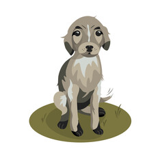 Cute puppy vector illustration. Small sitting dog on white background. Good design for animal shelter logo, shop pets, textile, t-shirt. Flat style.