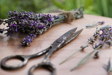 Obraz na płótnie Canvas Beautiful lavender flowers and scissors on wooden table, closeup