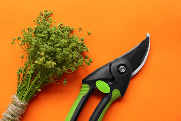 Secateur and bunch of wild flowers on orange background, flat lay