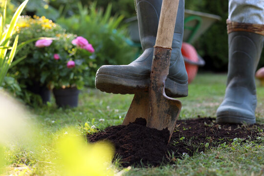 Man digging soil with shovel outdoors on sunny day, closeup. Gardening time