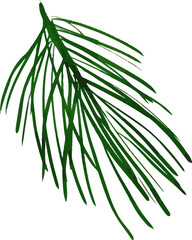 Obraz premium Watercolor Winter Christmas bouquet with foliage, pine cone, flowers, and berries