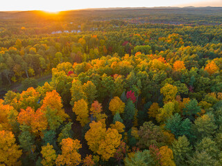 Obraz premium aerial view of colorful autumn forest under sunlight