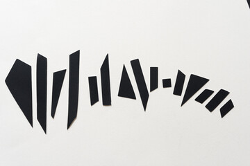 pieces of black paper arranged in a rough line on blank paper