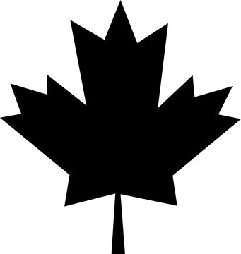 Canadian vector icon and autumn leaves on white background..eps