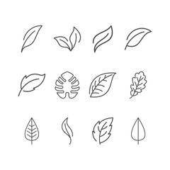 a set of simple leaf icons that are easy to remember and recognize