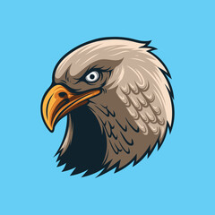 Vector illustration of eagle head isolated