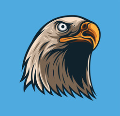 Vector illustration of eagle head isolated