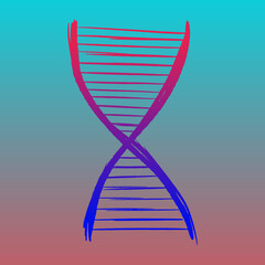 isolated vector illustration of a DNA. isolated vector illustration