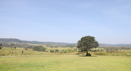 Landscape view of green grass on slope .