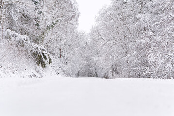The road among the forest during a strong snow storm. scandinavia winter landscape
