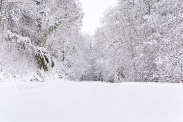 Fototapeta na wymiar The road among the forest during a strong snow storm. scandinavia winter landscape