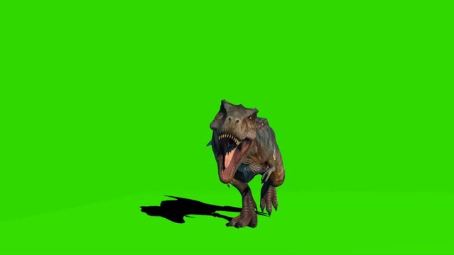 animate a running dinosaur Tyrannosaurus, Stock Video
