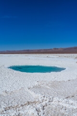 lagunas de baltinache en el desierto de Atacama, Oasis en el desierto, Lagunas de Sal, Desierto de...