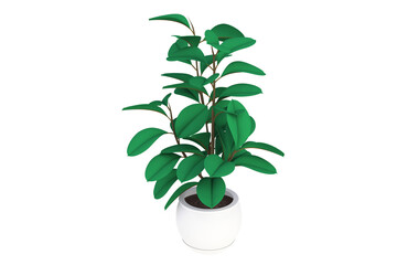 Obraz na płótnie Canvas 3d illustration of tropical plant in a white pot on a white background.