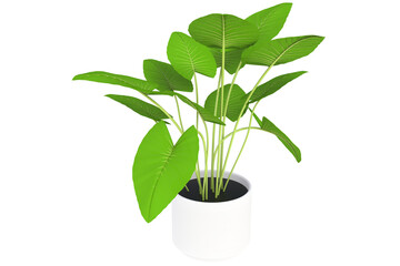 3d illustration of tropical plant in a white pot on a white background.