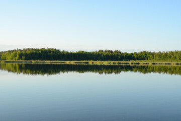 Fototapeta na wymiar Forest lake, beautiful nature landscape, calm scene. Lake morning, panoramic view