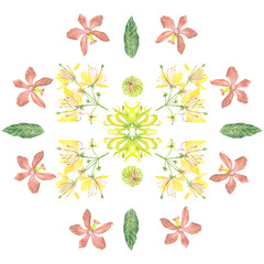 watercolor Philippine flora mandala Ylang ylang crateva religiosa phalaenopsis pulchra