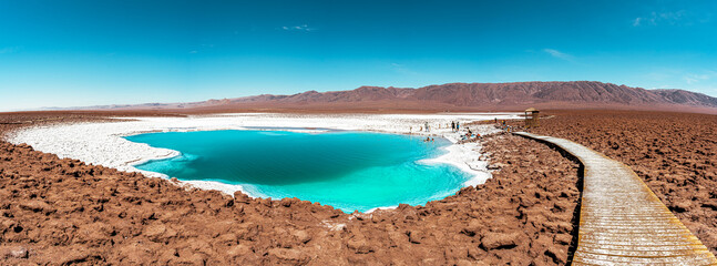 oasis con laguna de aguas turquzas en el desierto, laguna de agua salada. salar en el desierto, sal en el desierto, lagunas de baltinache, desierto de atacama chile. © Nicols
