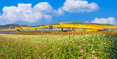 장성 황룡강 주변의 아름다운 꽃밭 위를 건너는 노랑색 용작교