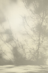 Background Studio Room Autumn with Wall Shadow Leaves Plant,Abstract Orange Cement Mockup Empty Table with White Sunlight Effect Reflection Backdrop.Blank Free space for Product Presentation concept.