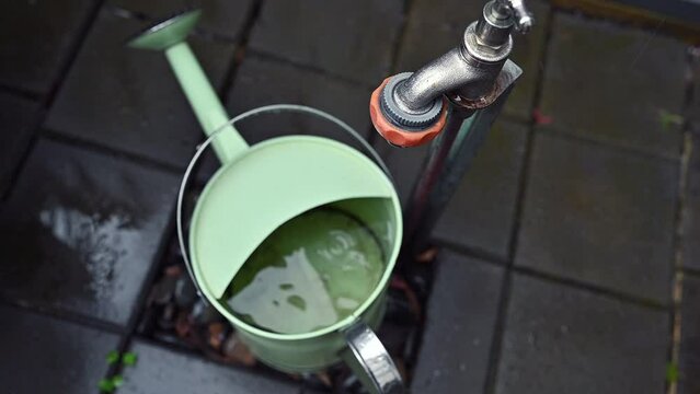 a slow motion Vedic of rain and tap water drips in to a green bucket in a backyard