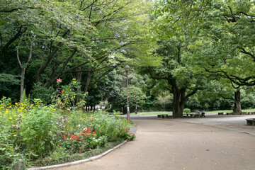 光が丘公園（東京都練馬区光が丘）
