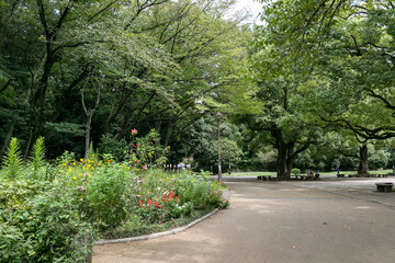 光が丘公園（東京都練馬区光が丘）