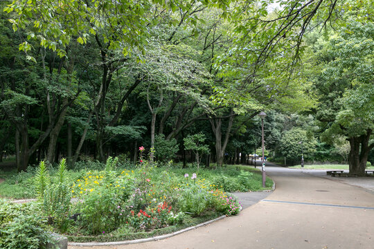 「光が丘」の写真素材 281件の無料イラスト画像 Adobe Stock