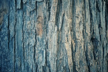 old wood background