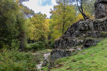 Fototapeta premium first autumn colors on the banks of the Cofio river in Robledo de Chavela, Madrid