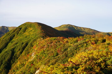 朝日に照らされる紅葉の山
