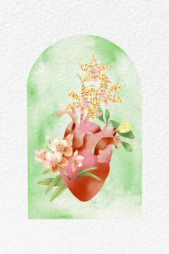 Philippine flora heart Orchids portal