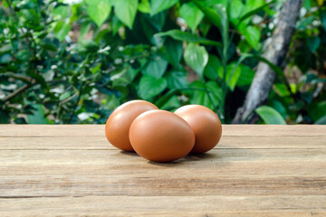 eggs stacked on wooden floor