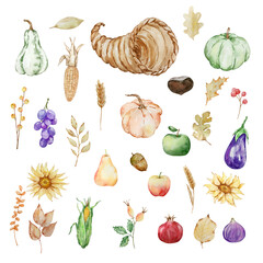 Thanksgiving watercolor elements, cornucopia, pumpkins and fruits