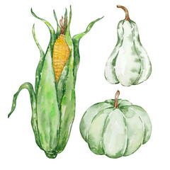 Thanksgiving watercolor elements, pumpkin and corn