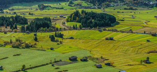 Ausblick auf die Moos-Landschaft im Ehrwalder Becken