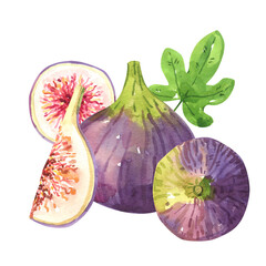 Fig fruits watercolor illustration set - 540392389
