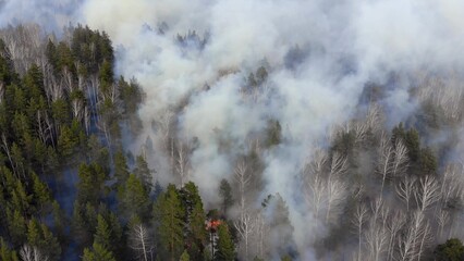 Aerial view smoke of wildfire