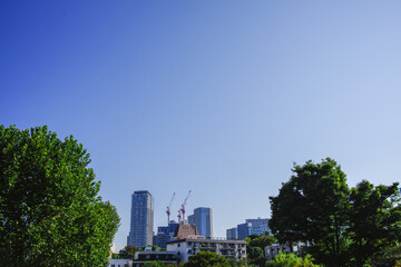 Obraz na płótnie Canvas 秋空が美しい赤坂の風景